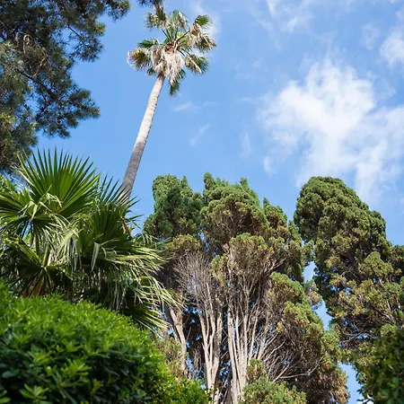 Mare - A Jungle Retreat