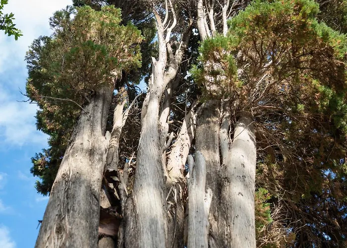 Mare - A Jungle Retreat 3*