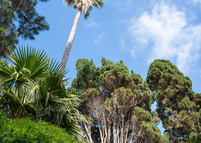 Mare - A Jungle Retreat