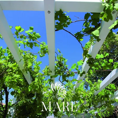 Mare - A Jungle Retreat * Tropea