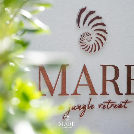 Mare - A Jungle Retreat Tropea