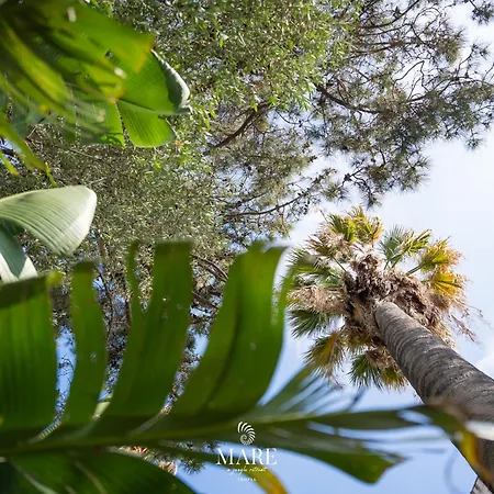 Mare - A Jungle Retreat * Tropea