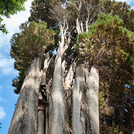 Mare - A Jungle Retreat 3*