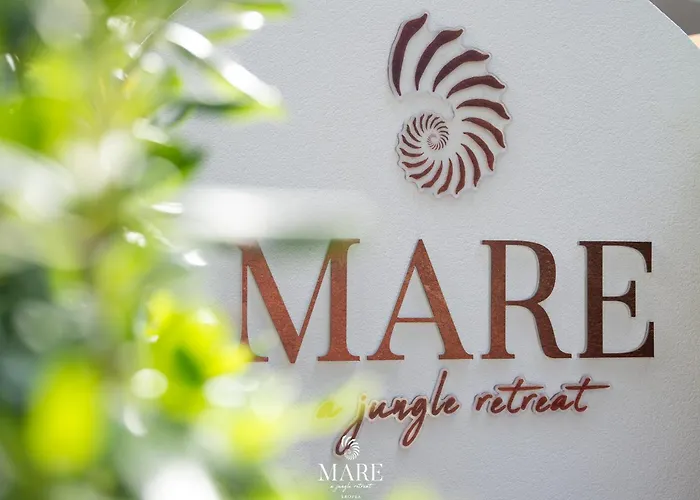 Mare - A Jungle Retreat Tropea
