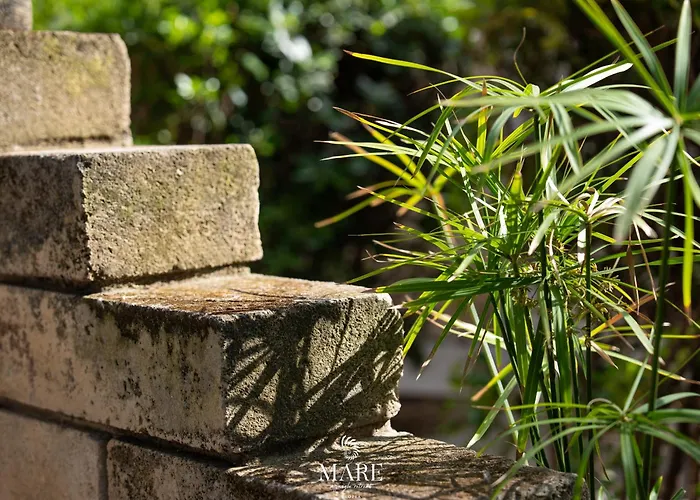 Couette-café Mare - A Jungle Retreat 3*