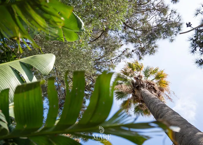 Mare - A Jungle Retreat 3* Tropea
